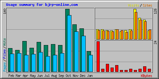 Usage summary for bjrp-online.com